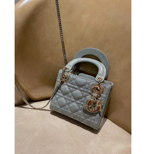 디올 레이디백 미니