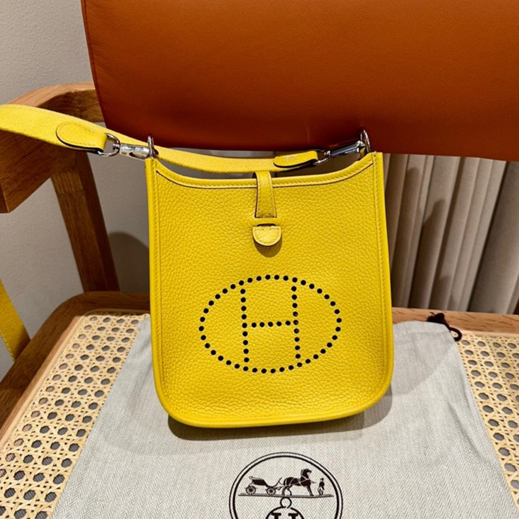 에르메스 에블린 미니 올수공 (컬러 존 드 나플)