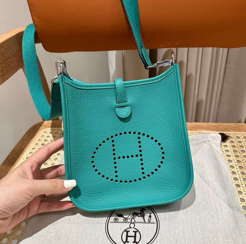 에르메스 에블린 미니 올수공 (컬러 베르 베로느)