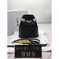 디올 CD C'EST 백 스몰 / 미디움