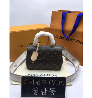 루이비통 LV 클루니 미니 / BB