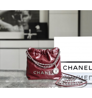 샤넬 23A 22백 미니