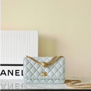 샤넬 23S 카멜리아볼 WOC