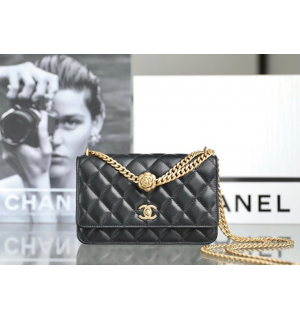 샤넬 23S 카멜리아볼 WOC