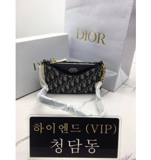 디올 30몽테인 에비뉴 호보백