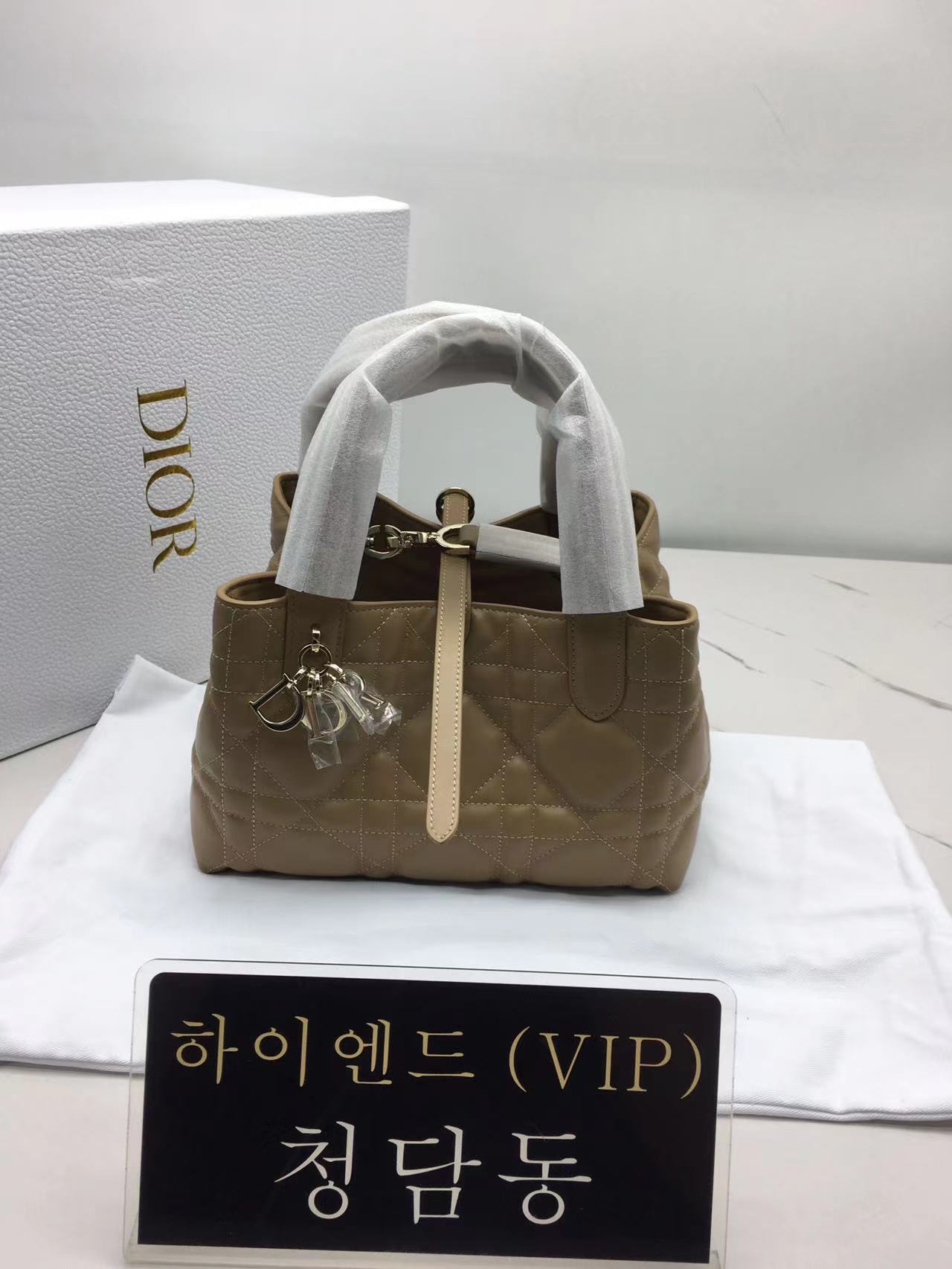 디올 뚜주흐 스몰백