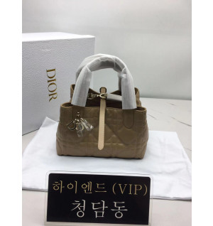 디올 뚜주흐 스몰백