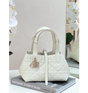 디올 뚜주흐 스몰백