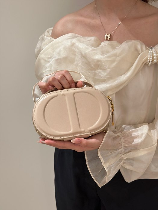 디올 시그니처 오벌 카메라백