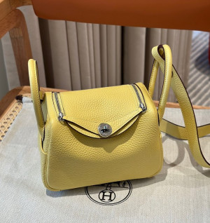 에르메스 미니 린디 올수공 (컬러 존 푸셩)