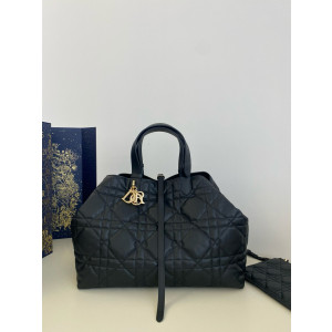 디올 뚜주흐 라지 백