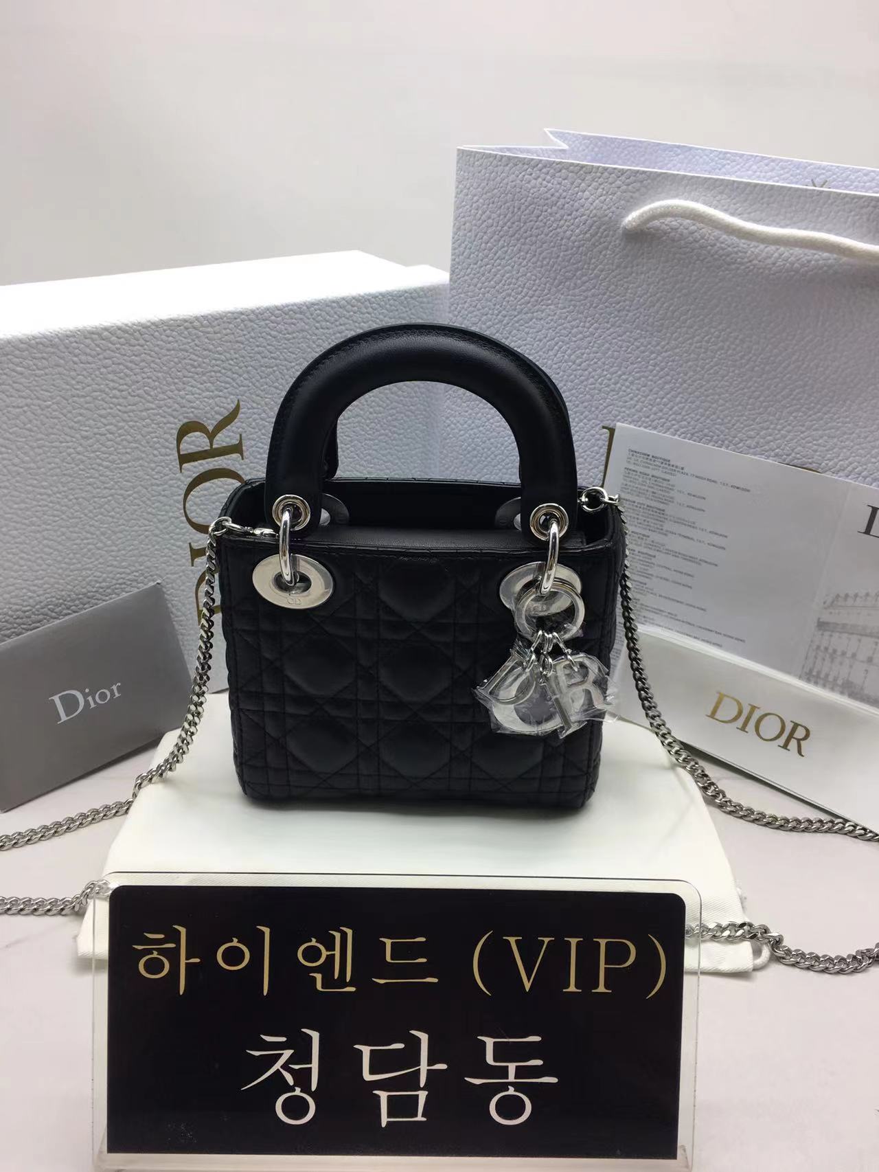 디올 레이디백 미니 (램스킨) (구형)