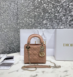 디올 레이디백 17cm 페이던트