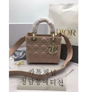 디올 램스킨 레이디백 MY ABC