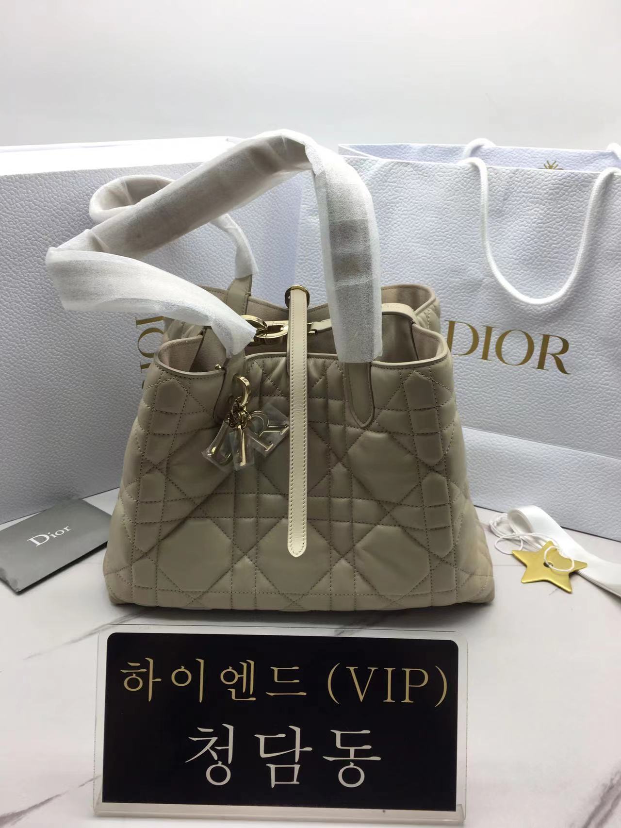 디올 뚜주흐 미디움 백 (upgrade ver.)