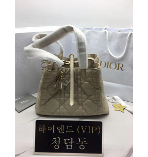 디올 뚜주흐 미디움 백 (upgrade ver.)