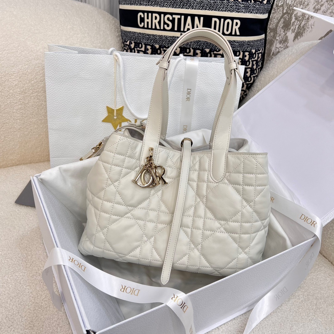 디올 뚜주흐 미디움 백 (upgrade ver.)