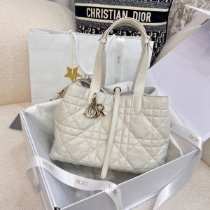 디올 뚜주흐 미디움 백 (upgrade ver.)