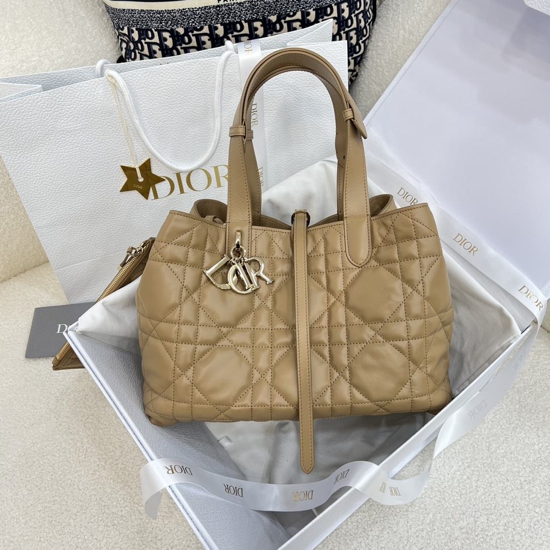 디올 뚜주흐 미디움 백 (upgrade ver.) (컬러 bonze)