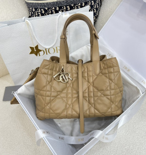 디올 뚜주흐 미디움 백 (upgrade ver.) (컬러 bonze)
