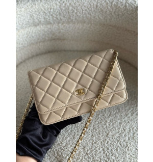 샤넬 24SS WOC 체인 윌릿