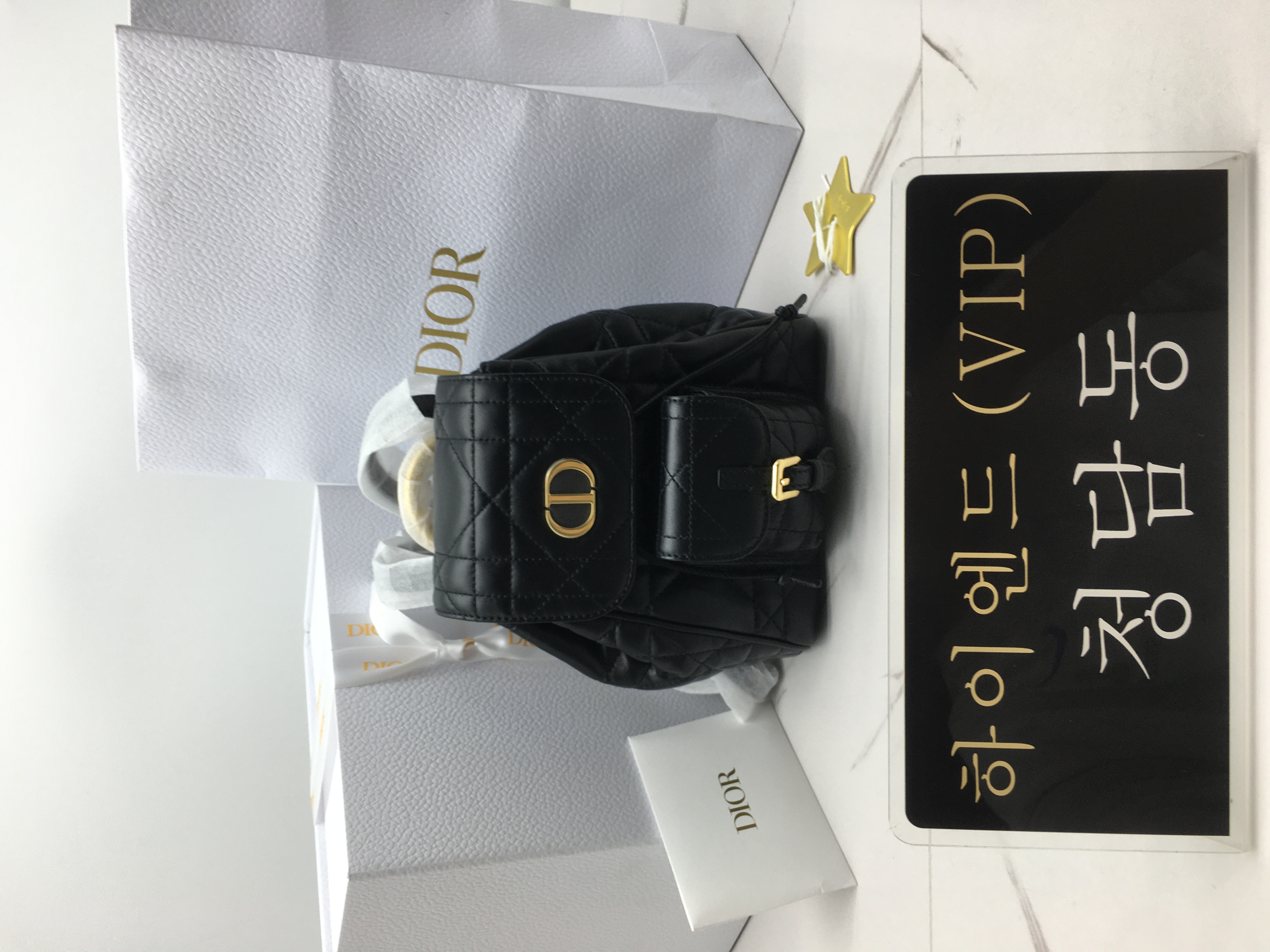 디올 카로 백팩 스몰