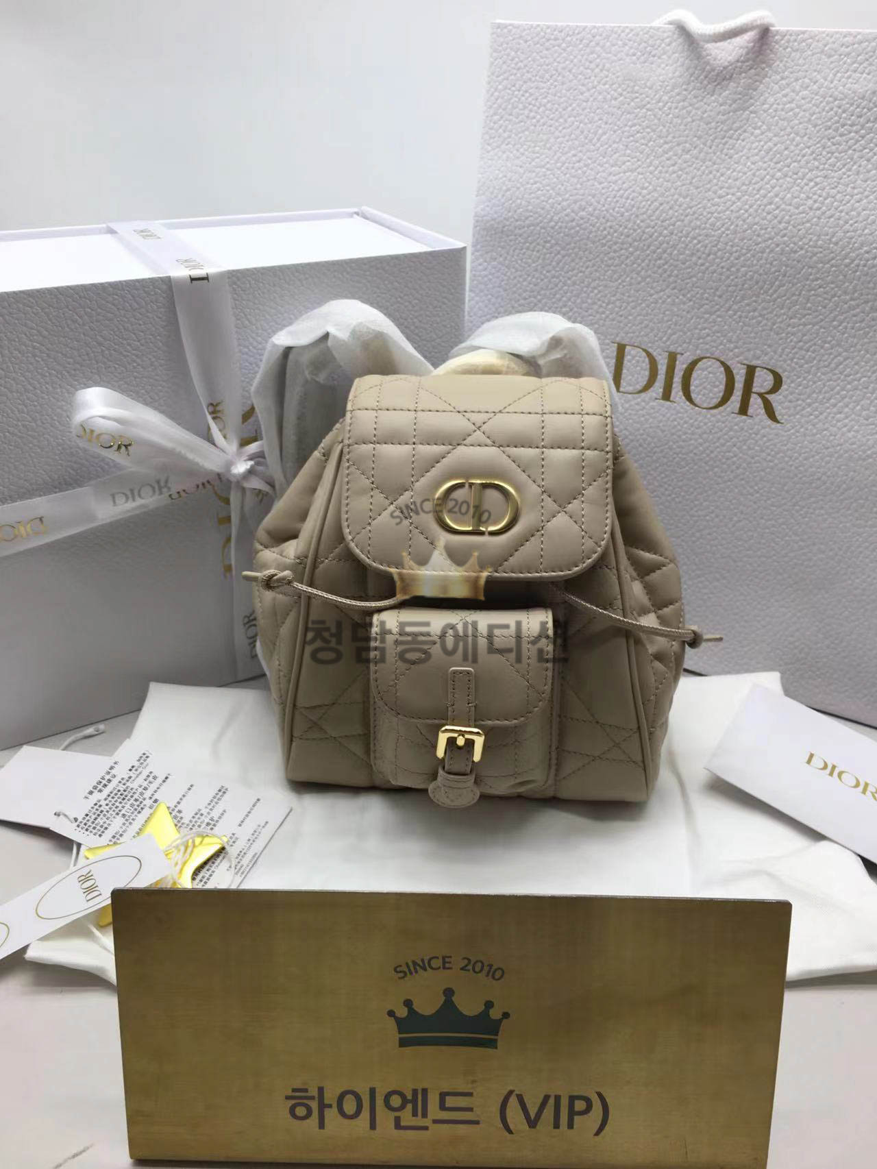 디올 카로 백팩 스몰