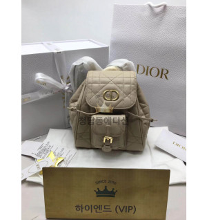 디올 카로 백팩 스몰
