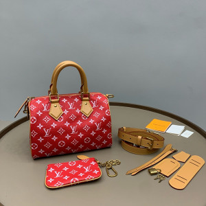 루이비통 스피디 P9 반둘리에 25 (upgrade ver.)