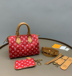 루이비통 스피디 P9 반둘리에 25 (upgrade ver.)