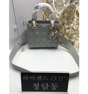 디올 레이디백 스몰 (upgrade ver)