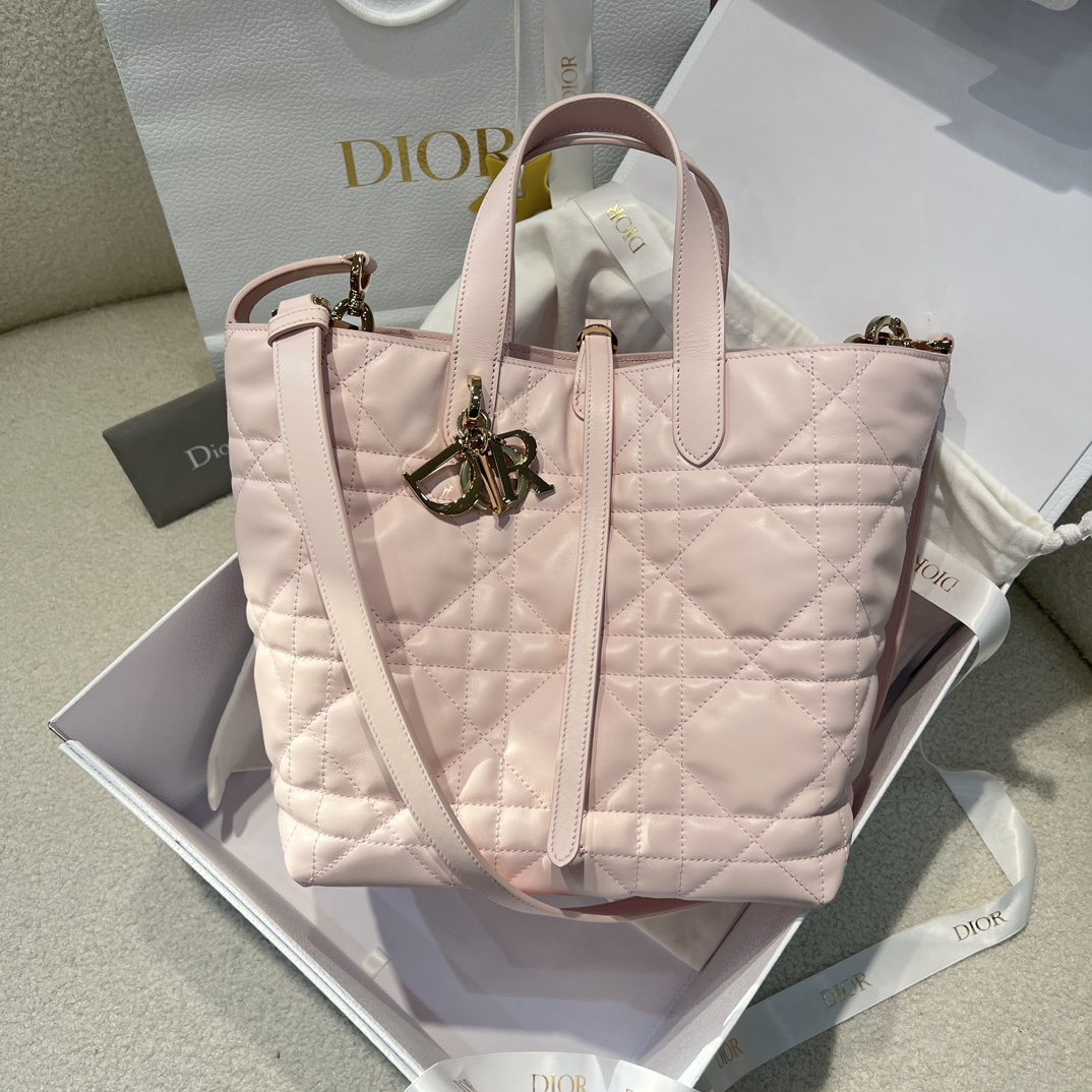 디올 뚜주흐 버티컬 미디움 토트백 숄더 크로스백 (upgrade ver.)