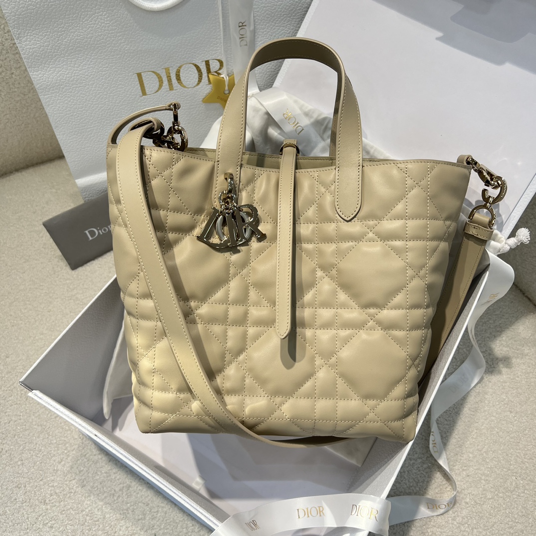 디올 뚜주흐 버티컬 미디움 토트백 숄더 크로스백 (upgrade ver.)