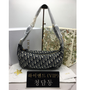 디올 디저니 미디움 백