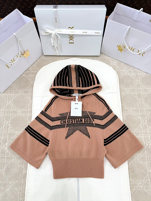 디올 알프스 후드 스웨터