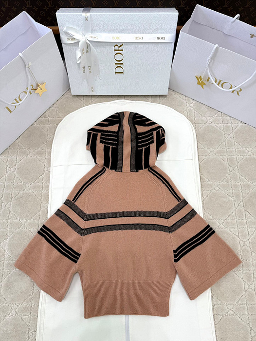 디올 알프스 후드 스웨터