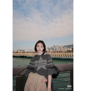 디올 알프스 후드 스웨터