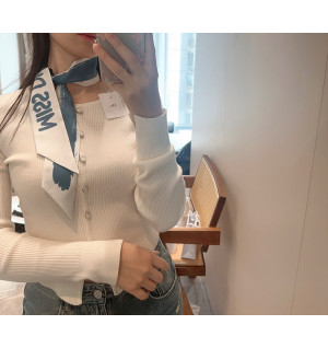 디올 실크 미차