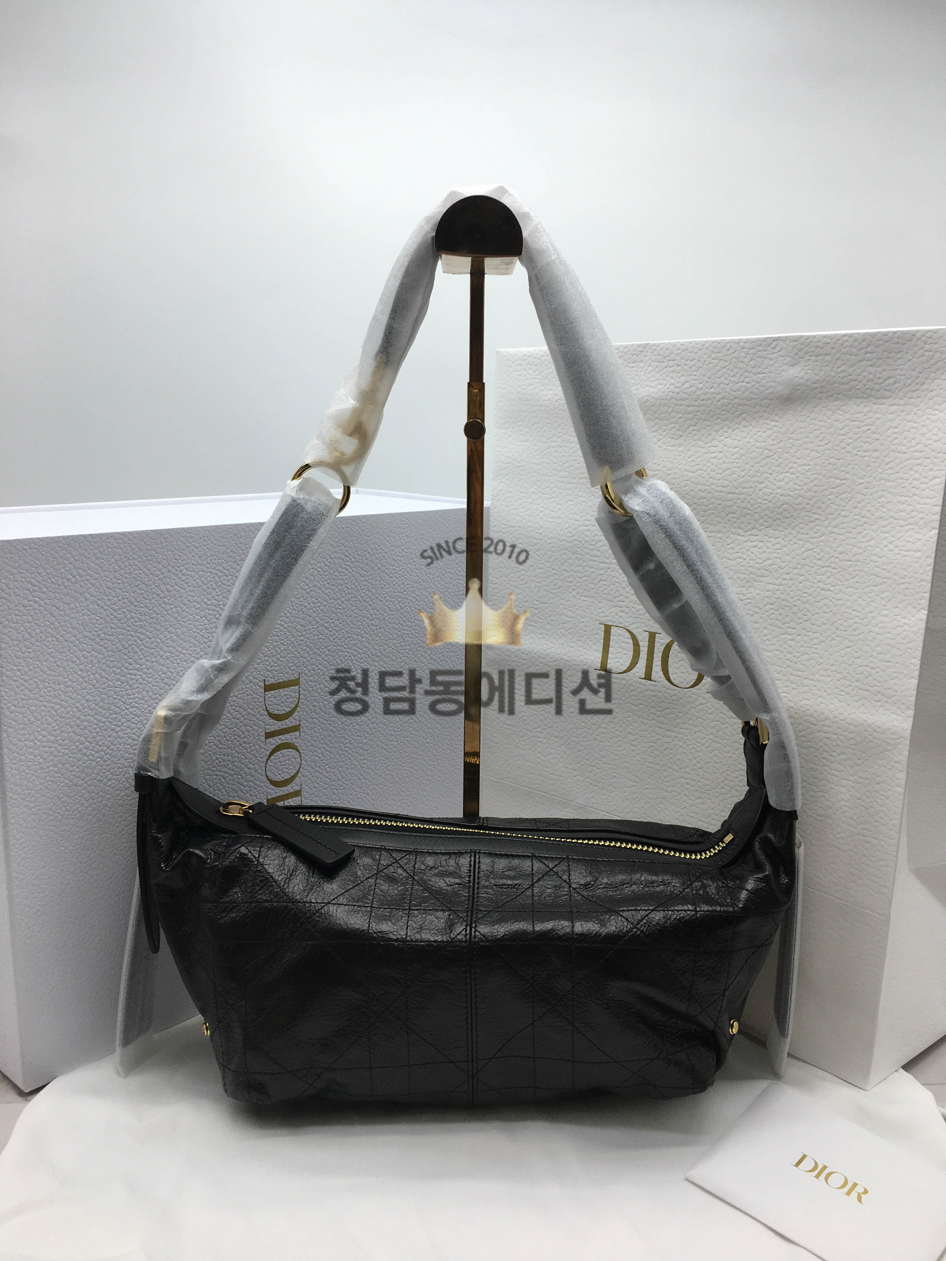 디올 디저니 스몰 백