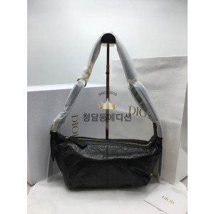 디올 디저니 스몰 백