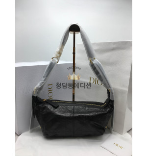 디올 디저니 스몰 백
