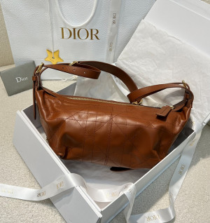 디올 디저니 스몰 백