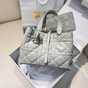 디올 뚜주흐 미디엄 백 (upgrade ver.)