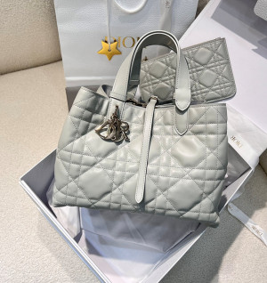 디올 뚜주흐 미디엄 백 (upgrade ver.)