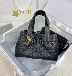 디올 뚜주흐 스몰 백 (upgrade ver.)