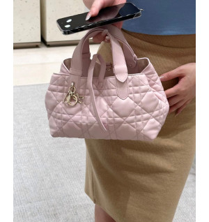 디올 뚜주흐 스몰 백 (upgrade ver.)