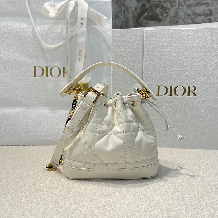 디올 졸리 스몰 버킷백