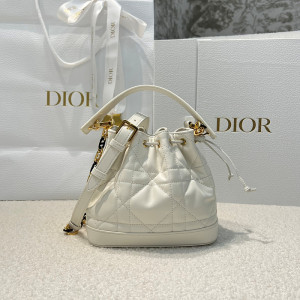 디올 졸리 스몰 버킷백