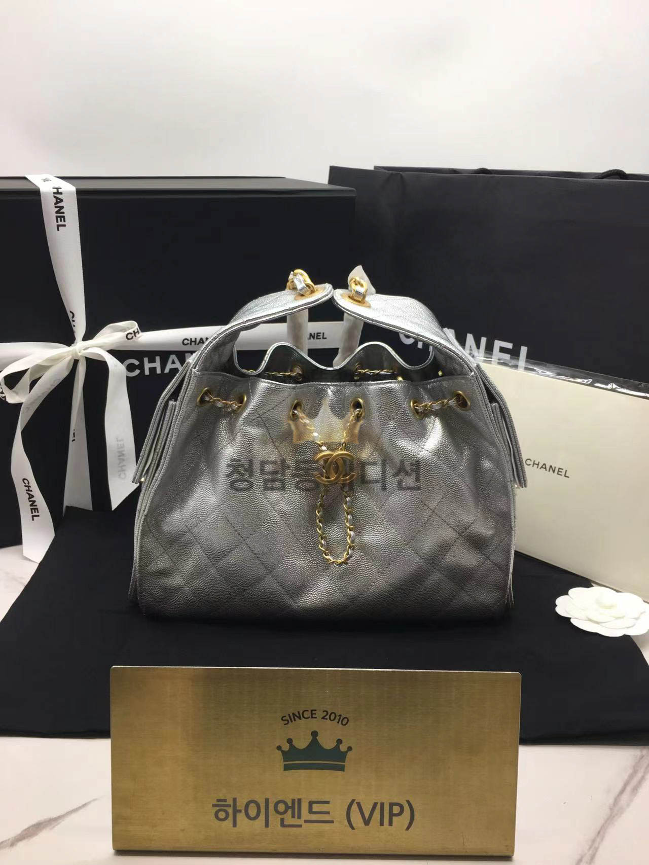 샤넬 25C 크루즈 뉴 호보백 스몰 (25백)