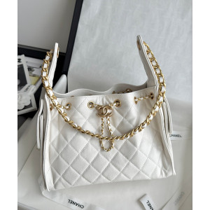 샤넬 25C 크루즈 뉴 호보백 스몰 (25백)